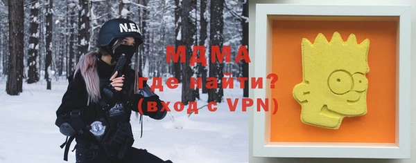 индика Богородицк