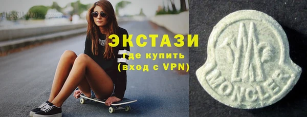 индика Богородицк