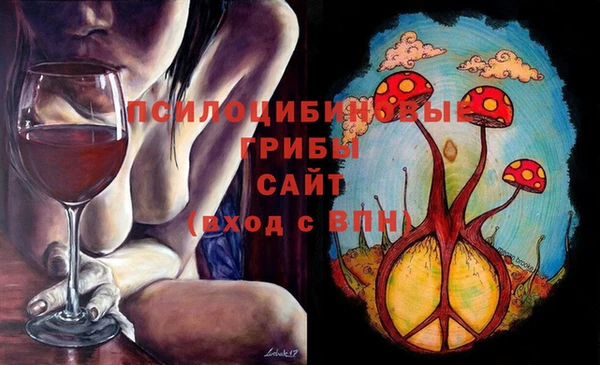 первитин Богородск