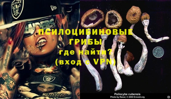 индика Богородицк