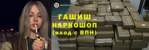 индика Богородицк