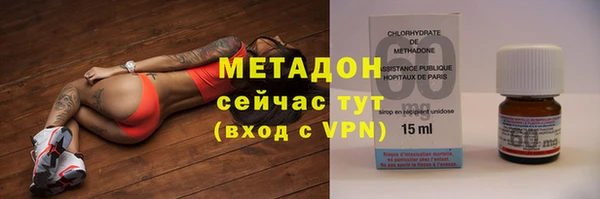 индика Богородицк