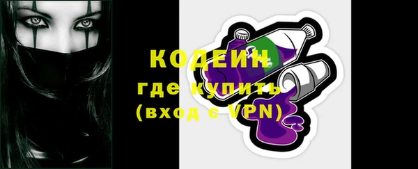 индика Богородицк