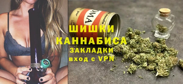 индика Богородицк
