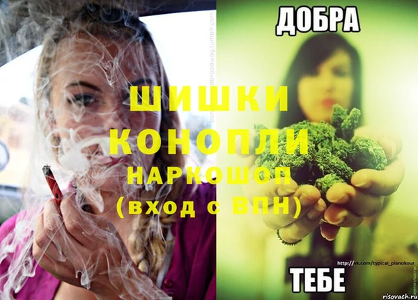 гидра Сосновый Бор