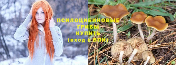 дурь Белокуриха