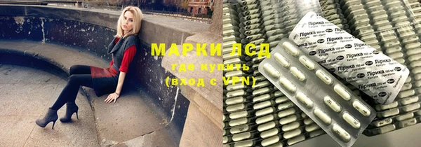 индика Богородицк