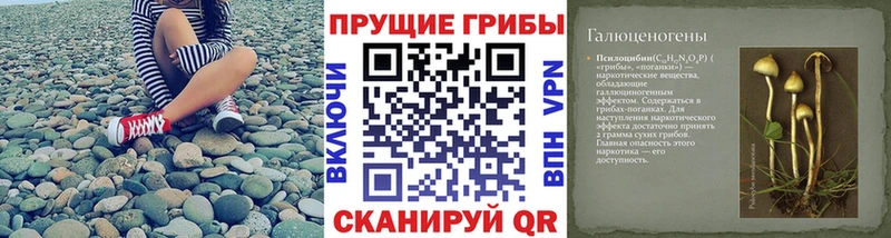 наркотики  Гороховец  Галлюциногенные грибы Cubensis 
